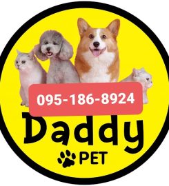 Daddy Pet สรงประภา 22