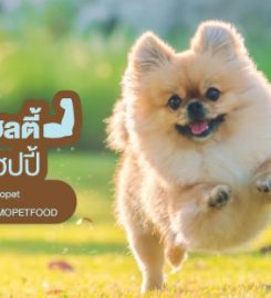 JOMO Pet Food อาหารสุนัขเกรดพรีเมียม