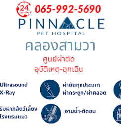 โรงพยาบาลสัตว์ คลองสามวา